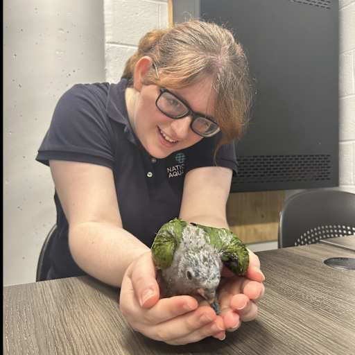 Profile image for pet sitter Kelly