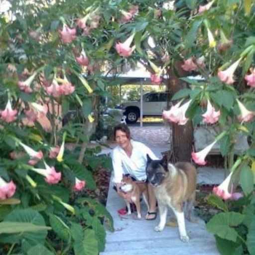 Profile image for pet sitter Karen