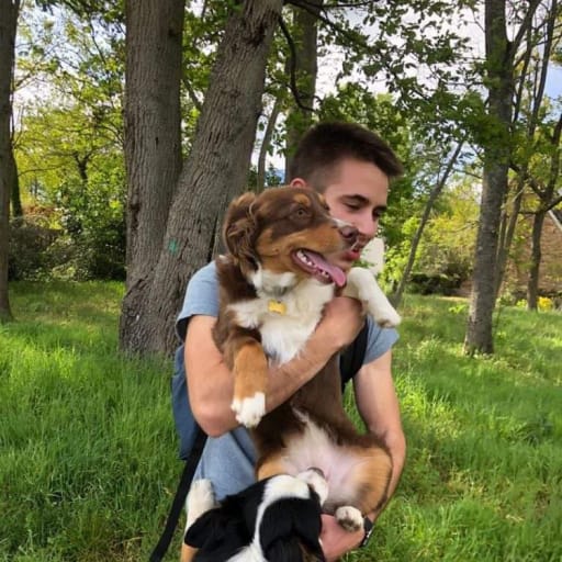 Profile image for pet sitter Ludovic