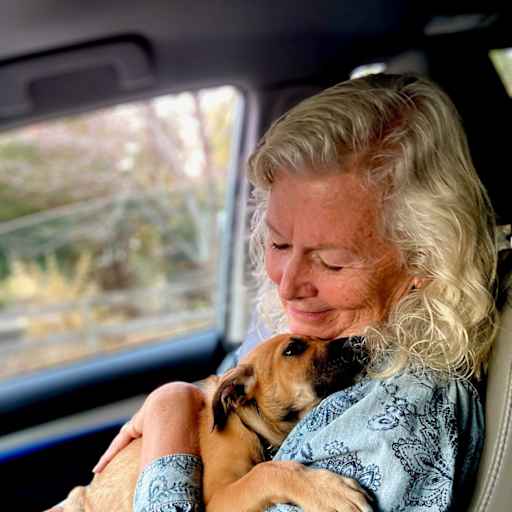 Profile image for pet sitter Lisa