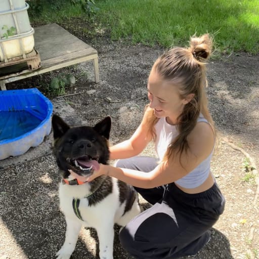 Profile image for pet sitter Lisa