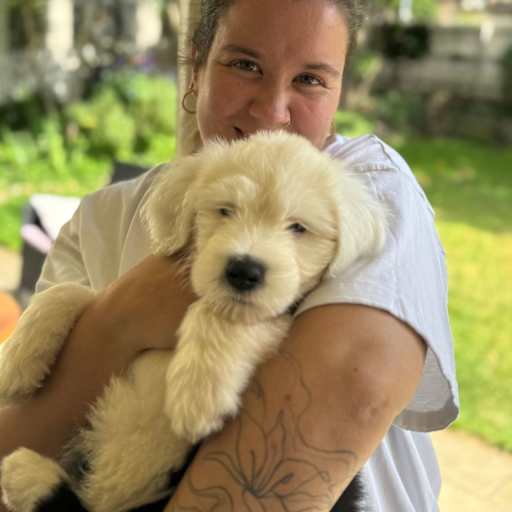 Profile image for pet sitter Amy