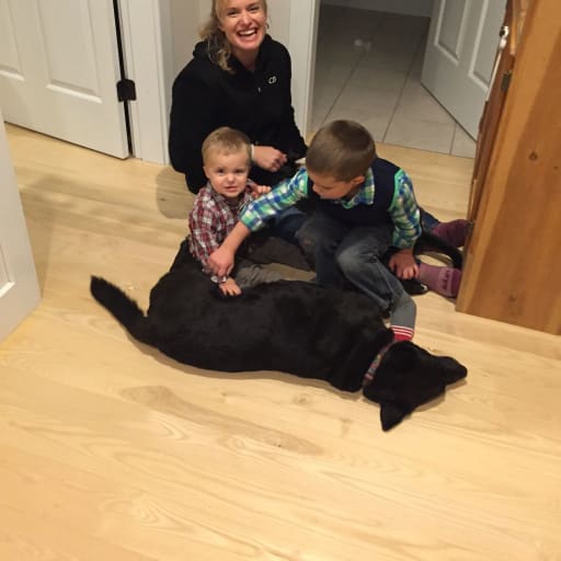 Profile image for pet sitter Amy