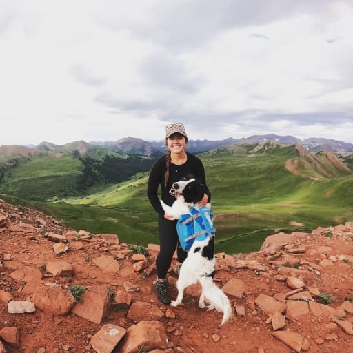Profile image for pet sitter Kimberly