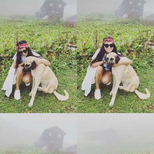 Profile image for pet sitter Naz