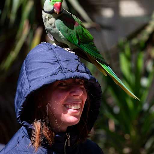 Profile image for pet sitters Vicky & Aaron