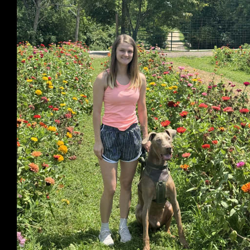 Profile image for pet sitter Avary
