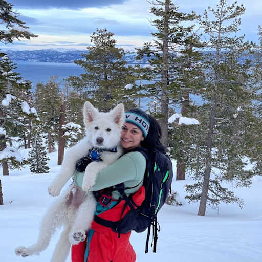 Profile image for pet sitter Sadaf