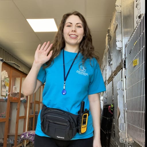 Profile image for pet sitter Danielle