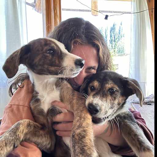 Profile image for pet sitter Cate