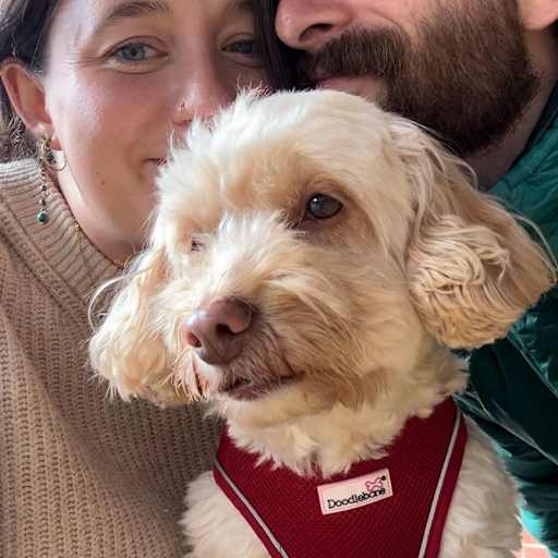 Profile image for pet sitters Izzy & Kurt