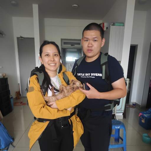 Profile image for pet sitters Ren how & Yan Nei