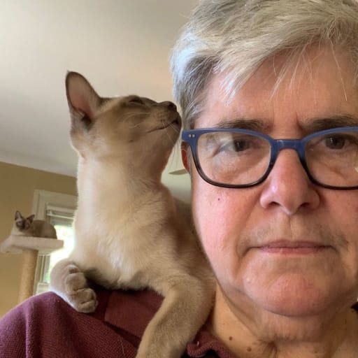 Profile image for pet sitter Linda