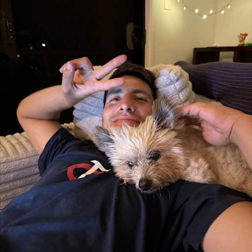 Profile image for pet sitter IGNACIO