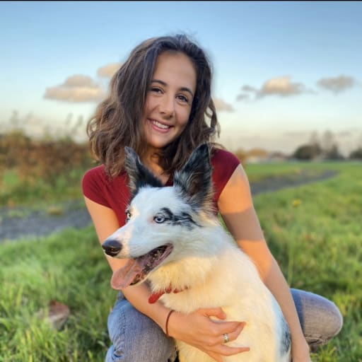 Profile image for pet sitter Jeanne