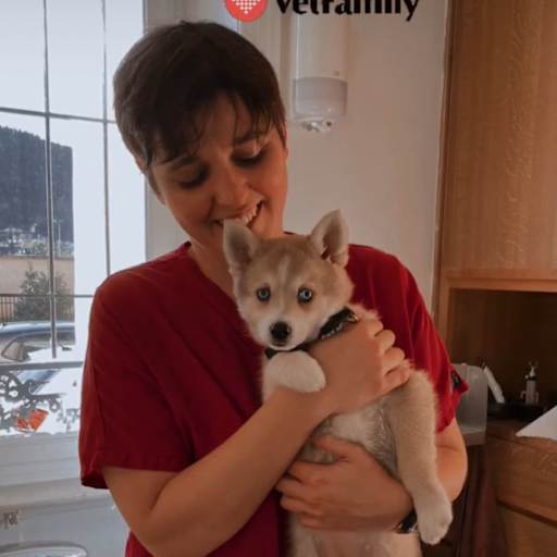 Profile image for pet sitter Laure