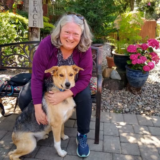 Profile image for pet sitter Dawn