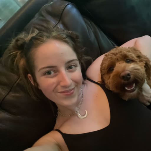 Profile image for pet sitter Blake