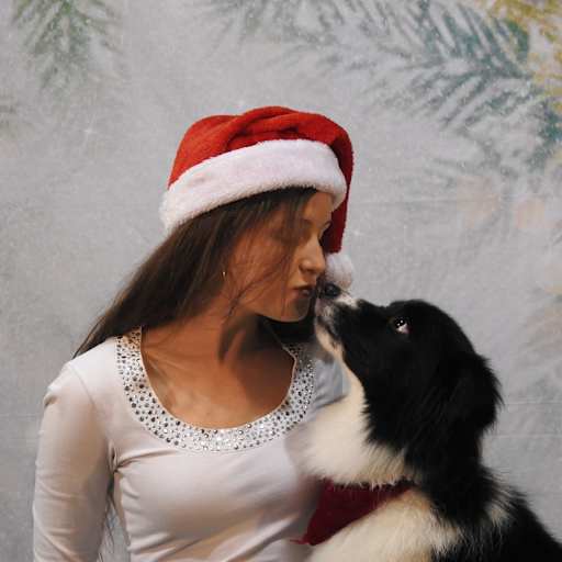 Profile image for pet sitters Liana & Joe