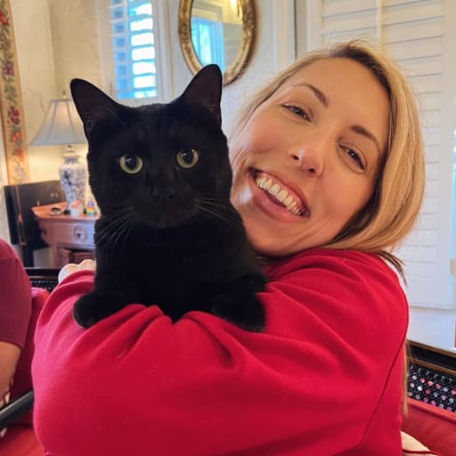 Profile image for pet sitter clare