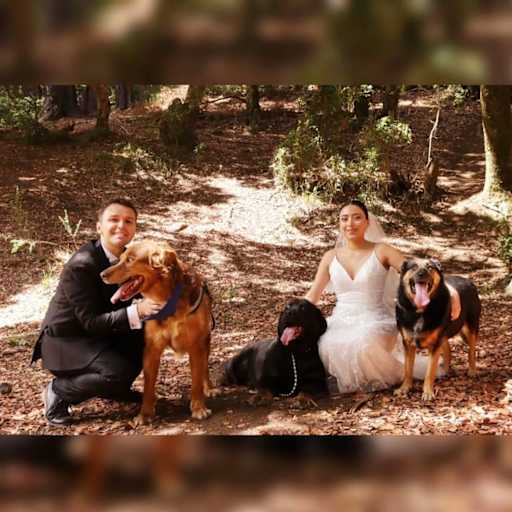 Profile image for pet sitters Vanessa & Nicolás