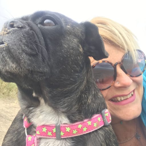 Profile image for pet sitter Claire