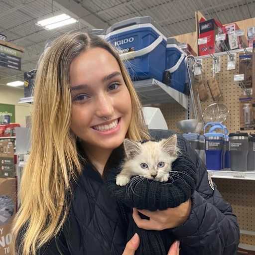 Profile image for pet sitter Averie