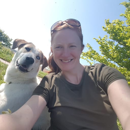 Profile image for pet sitter Amy