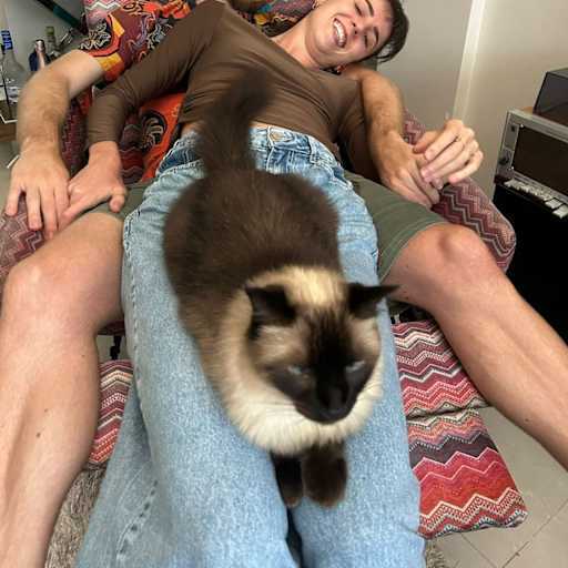 Profile image for pet sitters Artur & Mylena