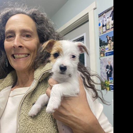 Profile image for pet sitter joanna