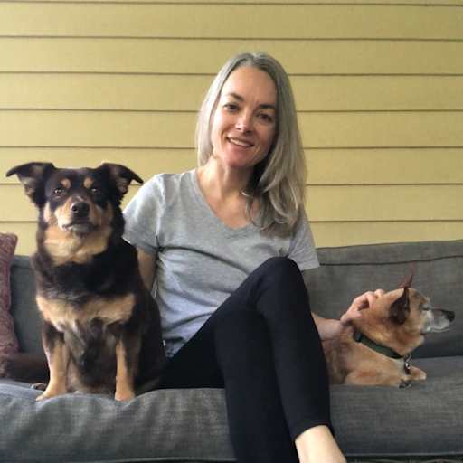 Profile image for pet sitter Z