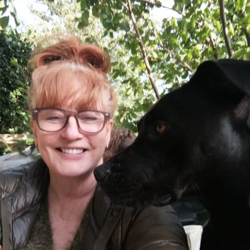 Profile image for pet sitter Karen