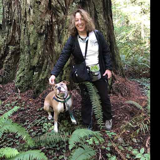 Profile image for pet sitter Dana