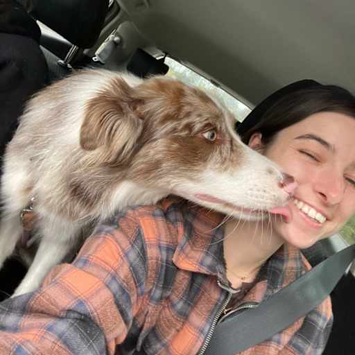 Profile image for pet sitter Ali