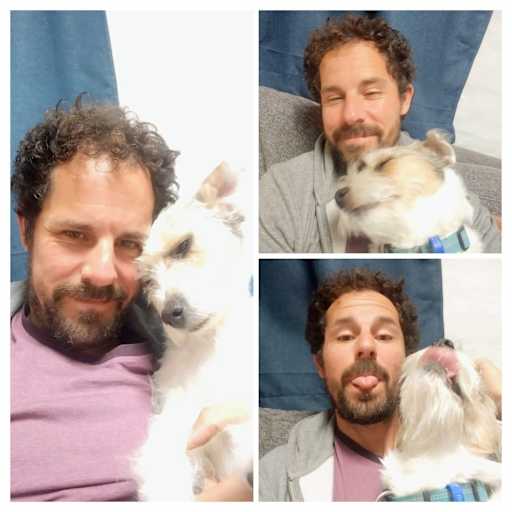 Profile image for pet sitter Frank