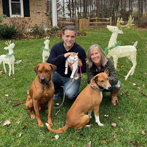 Profile image for pet sitters pai & Phil