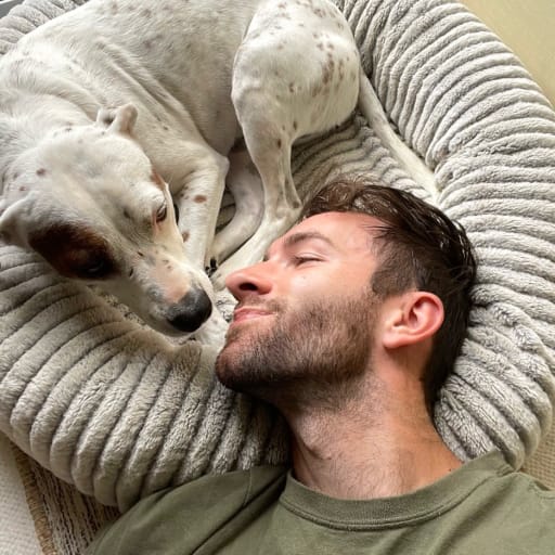 Profile image for pet sitter Bradley