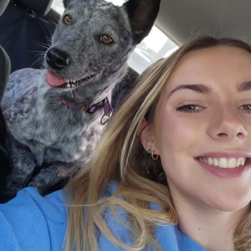 Profile image for pet sitter Jessica