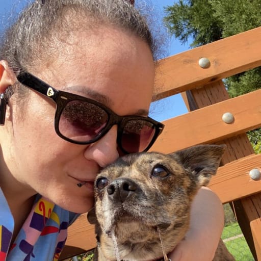 Profile image for pet sitter Amelia