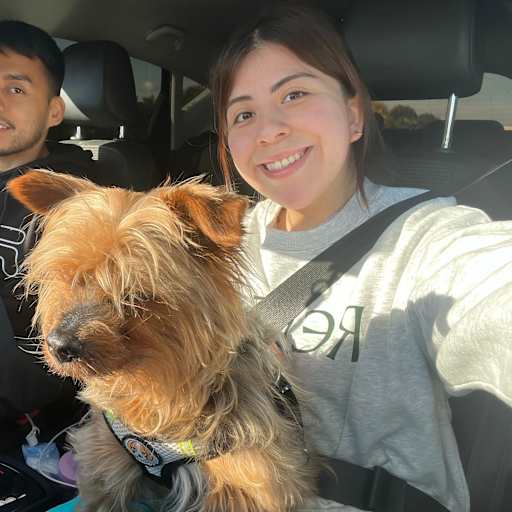 Profile image for pet sitters Dario & Jennifer