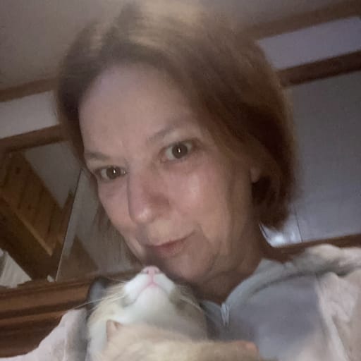 Profile image for pet sitter PJ
