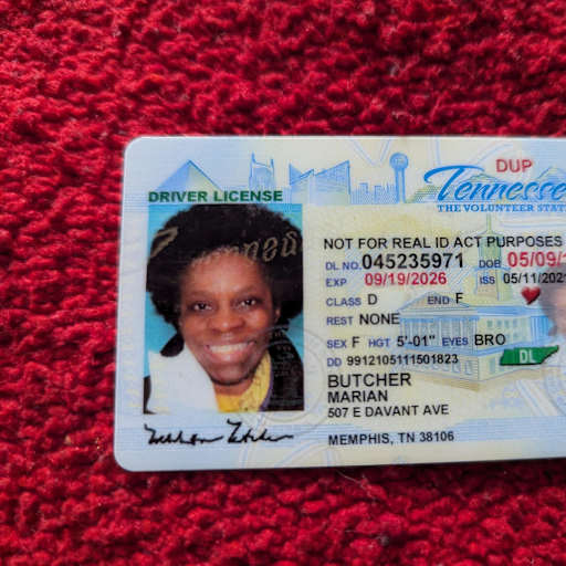 Profile image for pet sitter Marian