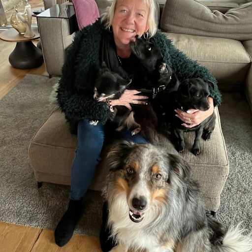 Profile image for pet sitter Annalise Claire