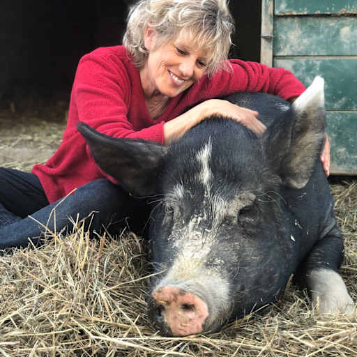 Profile image for pet sitters Elizabeth & David