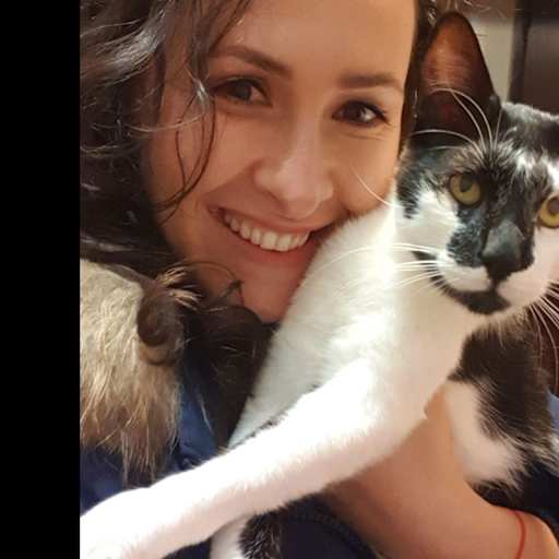 Profile image for pet sitter Alistar