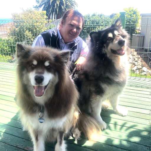 Profile image for pet sitter Damon