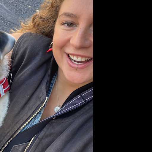 Profile image for pet sitter Daisy