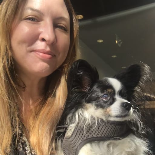 Profile image for pet sitter Kelly