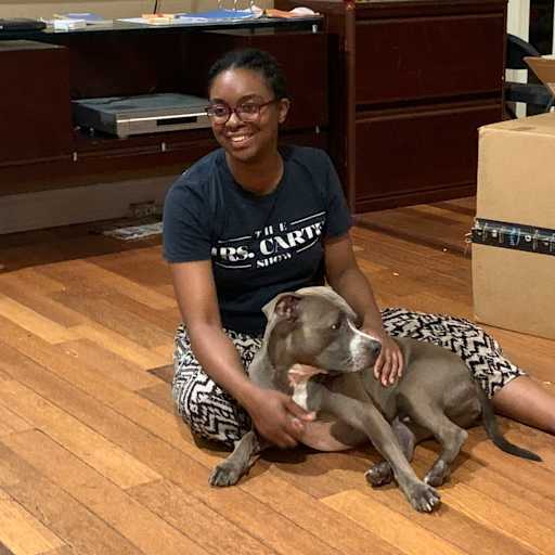 Profile image for pet sitter Roya