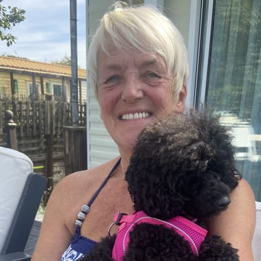 Profile image for pet sitter Carol Wilby